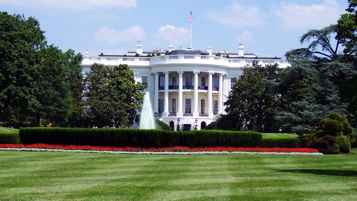 白宫外和前草坪