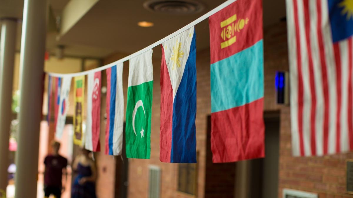 Flags of various nations hanging vertically from a rope